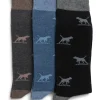 Rodd & Gunn Dogs-A-Plenty Socks In Multi 3 Pack 1 Rodd & Gunn Dogs-A-Plenty Socks In Multi 3 Pack -Coats Sales Store 923771440 1 720x928