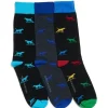 Rodd & Gunn Dogs-A-Plenty Socks 3 Pack In Multi -Coats Sales Store 944727490 1 720x928