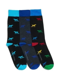 Rodd & Gunn Dogs-A-Plenty Socks 3 Pack In Multi
